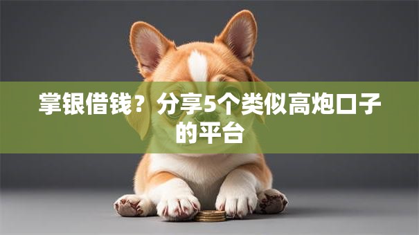 掌银借钱？分享5个类似高炮口子的平台