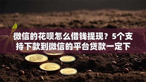 微信的花呗怎么借钱提现?5个支持下款到微信的平台贷款一定下得来 微信的花呗怎么借钱提现?5个支持下款到微信的平台贷款一定下得来