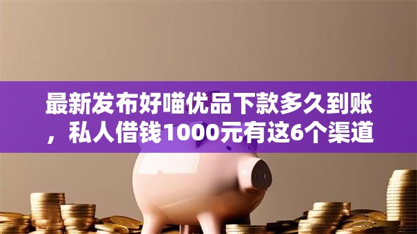 最新发布好喵优品下款多久到账，私人借钱1000元有这6个渠道