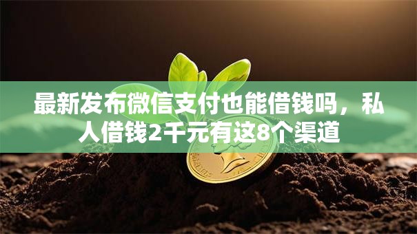 最新发布微信支付也能借钱吗,私人借钱2千元有这8个渠道 最新发布微信支付也能借钱吗,私人借钱2千元有这8个渠道