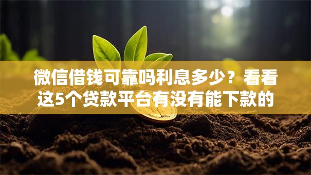 微信借钱可靠吗利息多少？看看这5个贷款平台有没有能下款的