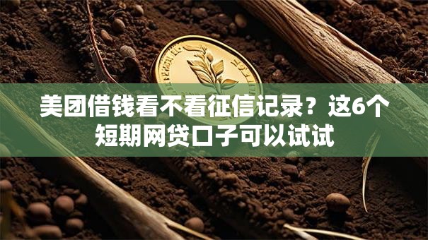 美团借钱看不看征信记录？这6个短期网贷口子可以试试
