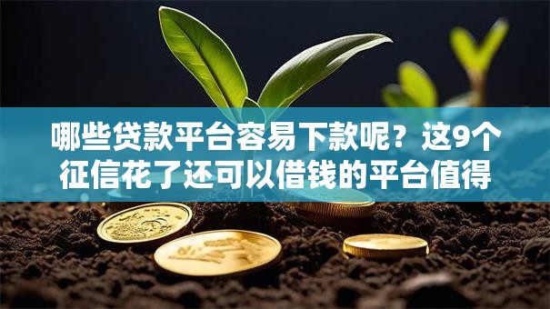 哪些贷款平台容易下款呢?这9个征信花了还可以借钱的平台值得一试 哪些贷款平台容易下款呢?这9个征信花了还可以借钱的平台值得一试