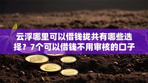 云浮哪里可以借钱拢共有哪些选择？7个可以借钱不用审核的口子详解