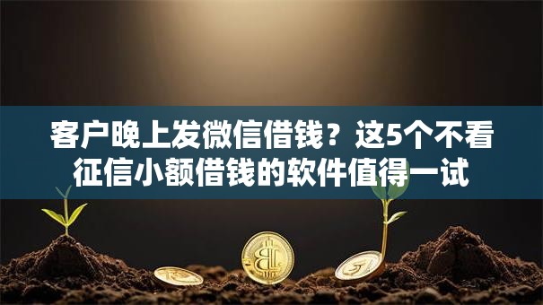 客户晚上发微信借钱?这5个不看征信小额借钱的软件值得一试 客户晚上发微信借钱?这5个不看征信小额借钱的软件值得一试