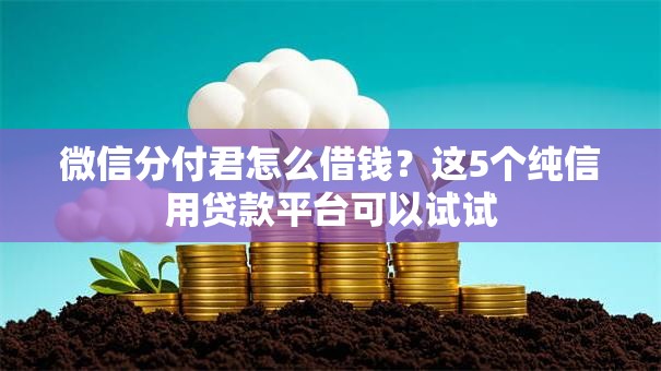 微信分付君怎么借钱？这5个纯信用贷款平台可以试试