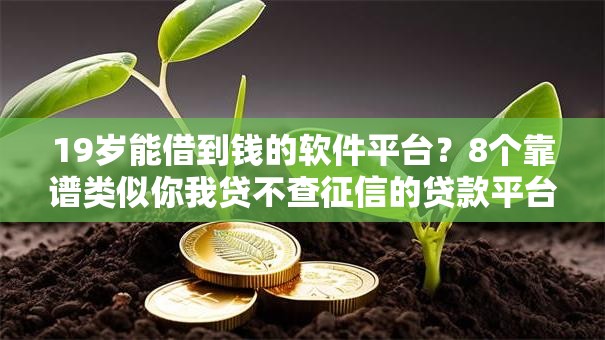 19岁能借到钱的软件平台？8个靠谱类似你我贷不查征信的贷款平台推荐