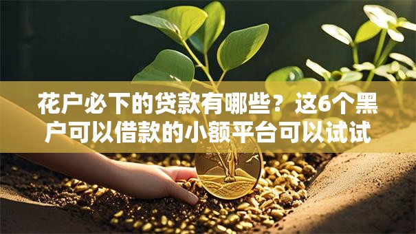 花户必下的贷款有哪些?这6个黑户可以借款的小额平台可以试试 花户必下的贷款有哪些?这6个黑户可以借款的小额平台可以试试