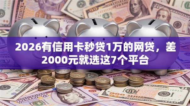 2026有信用卡秒贷1万的网贷，差2000元就选这7个平台