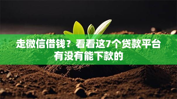 走微信借钱?看看这7个贷款平台有没有能下款的 走微信借钱?看看这7个贷款平台有没有能下款的