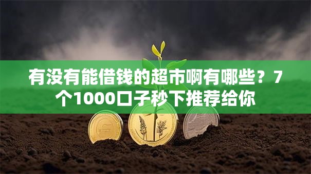 有没有能借钱的超市啊有哪些?7个1000口子秒下推荐给你 有没有能借钱的超市啊有哪些?7个1000口子秒下推荐给你