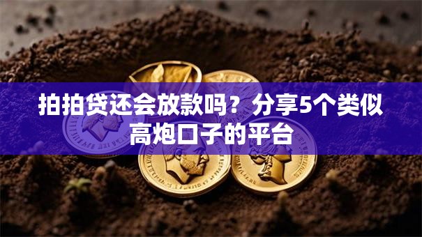 拍拍贷还会放款吗?分享5个类似高炮口子的平台 拍拍贷还会放款吗?分享5个类似高炮口子的平台