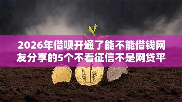 2026年借呗开通了能不能借钱网友分享的5个不看征信不是网贷平台我觉得不错! 2026年借呗开通了能不能借钱网友分享的5个不看征信不是网贷平台我觉得不错!