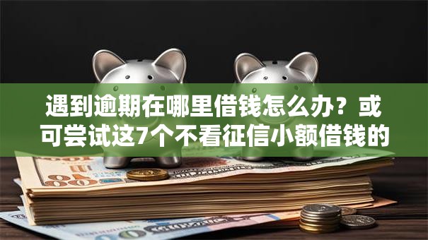 遇到逾期在哪里借钱怎么办？或可尝试这7个不看征信小额借钱的软件