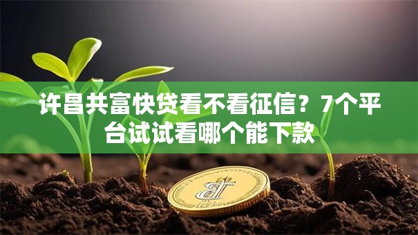 许昌共富快贷看不看征信？7个平台试试看哪个能下款