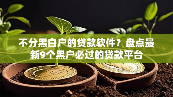 不分黑白户的贷款软件？盘点最新9个黑户必过的贷款平台