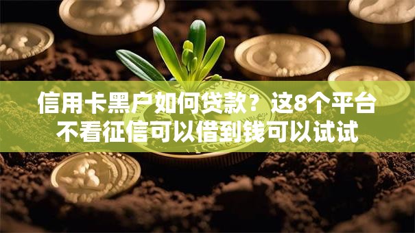 信用卡黑户如何贷款?这8个平台不看征信可以借到钱可以试试 信用卡黑户如何贷款?这8个平台不看征信可以借到钱可以试试