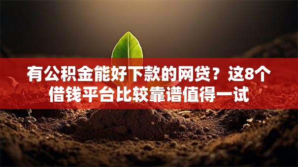 有公积金能好下款的网贷？这8个借钱平台比较靠谱值得一试