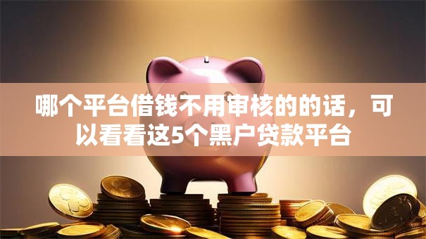 哪个平台借钱不用审核的的话，可以看看这5个黑户贷款平台