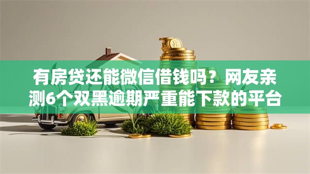 有房贷还能微信借钱吗？网友亲测6个双黑逾期严重能下款的平台盘点