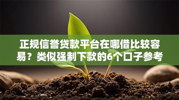 正规信誉贷款平台在哪借比较容易？类似强制下款的6个口子参考