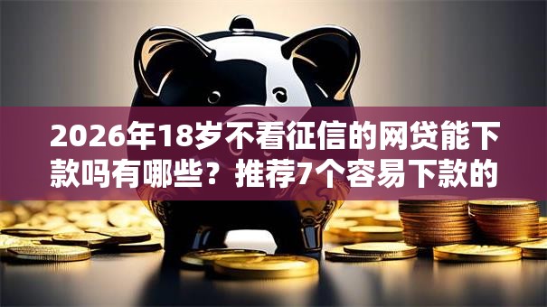 2026年18岁不看征信的网贷能下款吗有哪些？推荐7个容易下款的平台