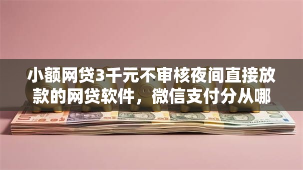 小额网贷3千元不审核夜间直接放款的网贷软件，微信支付分从哪里找到的7个平台介绍