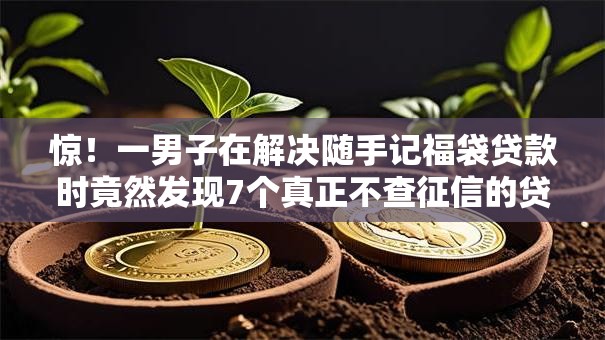 惊！一男子在解决随手记福袋贷款时竟然发现7个真正不查征信的贷款平台，事后分享了出来