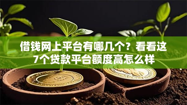 借钱网上平台有哪几个？看看这7个贷款平台额度高怎么样
