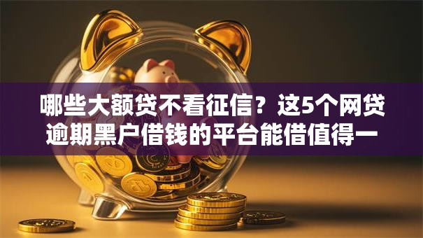 哪些大额贷不看征信？这5个网贷逾期黑户借钱的平台能借值得一试