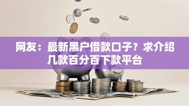 网友：最新黑户借款口子？求介绍几款百分百下款平台