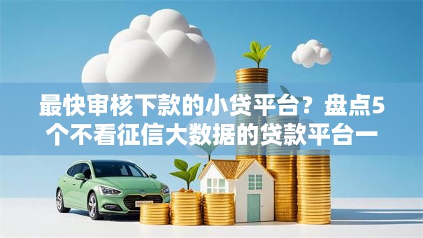 最快审核下款的小贷平台?盘点5个不看征信大数据的贷款平台一定能下款给你参考 最快审核下款的小贷平台?盘点5个不看征信大数据的贷款平台一定能下款给你参考