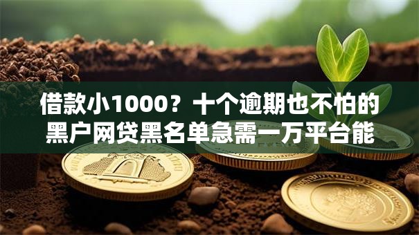 借款小1000？十个逾期也不怕的黑户网贷黑名单急需一万平台能下款