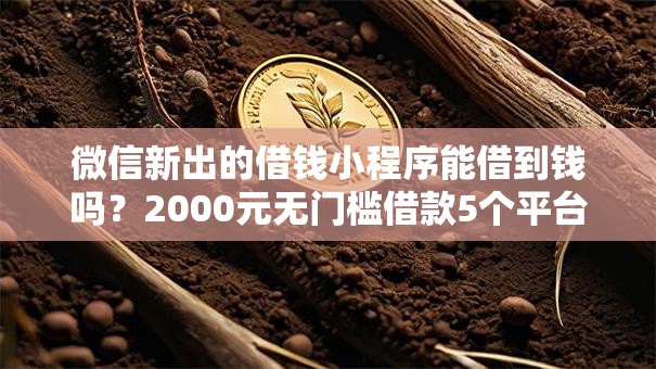 微信新出的借钱小程序能借到钱吗?2000元无门槛借款5个平台推荐 微信新出的借钱小程序能借到钱吗?2000元无门槛借款5个平台推荐
