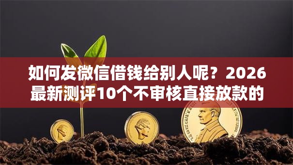 如何发微信借钱给别人呢？2026最新测评10个不审核直接放款的软件