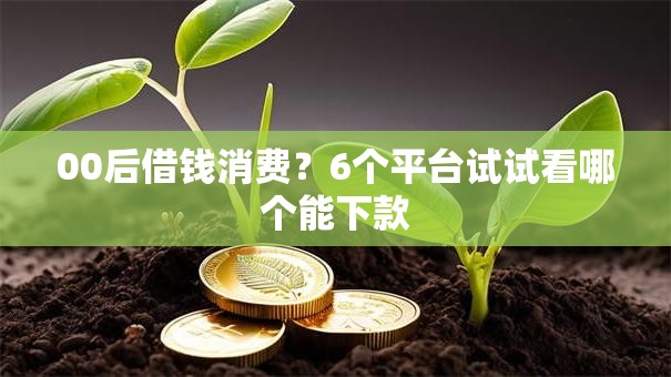 00后借钱消费？6个平台试试看哪个能下款