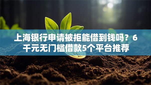 上海银行申请被拒能借到钱吗?6千元无门槛借款5个平台推荐 上海银行申请被拒能借到钱吗?6千元无门槛借款5个平台推荐
