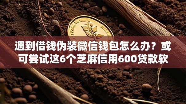 遇到借钱伪装微信钱包怎么办？或可尝试这6个芝麻信用600贷款软件