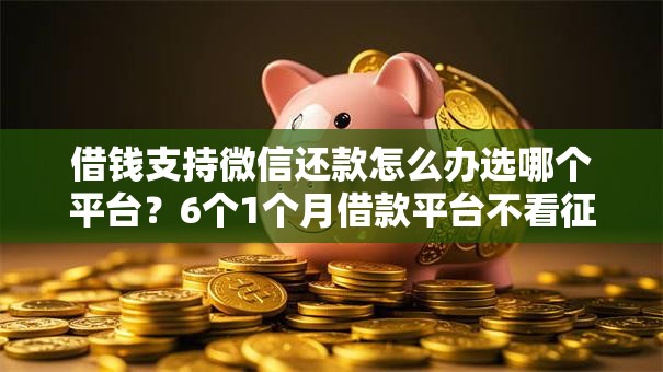 借钱支持微信还款怎么办选哪个平台?6个1个月借款平台不看征信推荐 借钱支持微信还款怎么办选哪个平台?6个1个月借款平台不看征信推荐