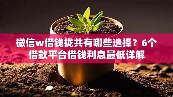 微信w借钱拢共有哪些选择？6个借款平台借钱利息最低详解