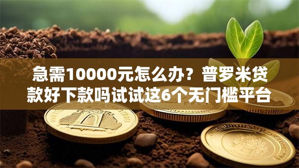 急需10000元怎么办?普罗米贷款好下款吗试试这6个无门槛平台 急需10000元怎么办?普罗米贷款好下款吗试试这6个无门槛平台
