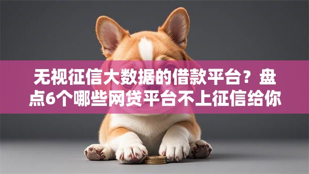 无视征信大数据的借款平台？盘点6个哪些网贷平台不上征信给你参考