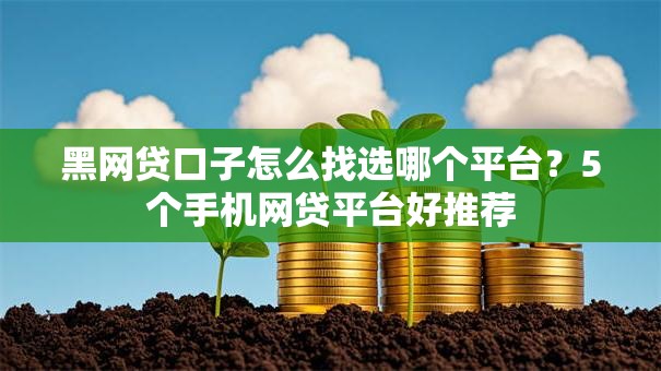 黑网贷口子怎么找选哪个平台？5个手机网贷平台好推荐