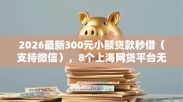 2026最新300元小额贷款秒借（支持微信），8个上海网贷平台无私分享