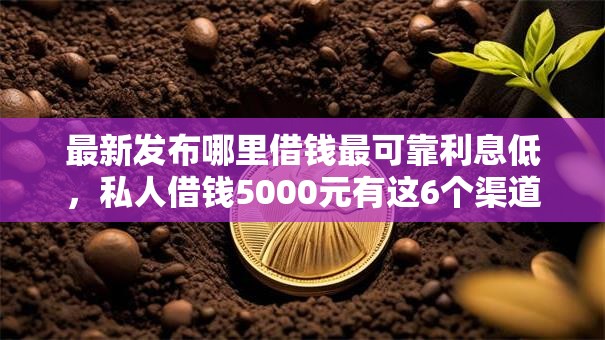 最新发布哪里借钱最可靠利息低，私人借钱5000元有这6个渠道