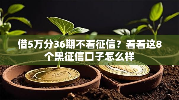 借5万分36期不看征信？看看这8个黑征信口子怎么样