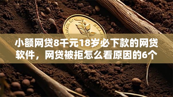 小额网贷8千元18岁必下款的网贷软件，网贷被拒怎么看原因的6个平台介绍