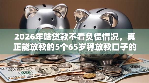 2026年啥贷款不看负债情况,真正能放款的5个65岁稳放款口子的年龄要求推荐 2026年啥贷款不看负债情况,真正能放款的5个65岁稳放款口子的年龄要求推荐