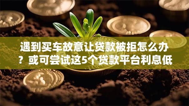 遇到买车故意让贷款被拒怎么办？或可尝试这5个贷款平台利息低