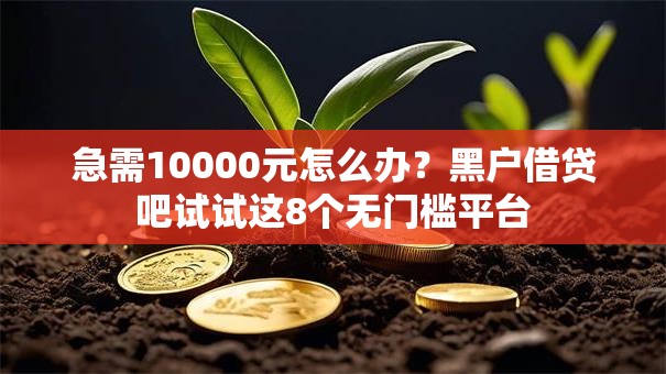 急需10000元怎么办？黑户借贷吧试试这8个无门槛平台